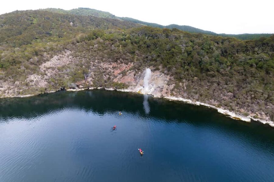 Rotorua: Waimangu Valley Walk and Steaming Cliffs Kayak Tour - Should you book the Waimangu and Lake Rotomahana tour?