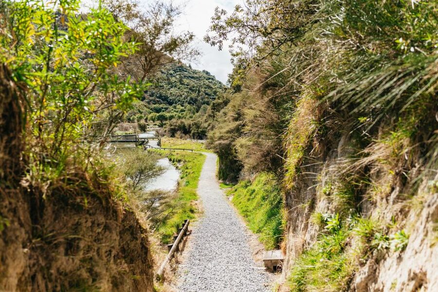Rotorua: Waimangu Volcanic Valley Ticket & Self-Guided Walk - Why Waimangu feels different from a standard Rotorua attraction
