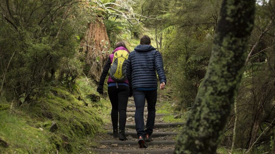 Rotorua: Waimangu Volcanic Valley Ticket & Self-Guided Walk - Inferno Crater Lake and the strongest color