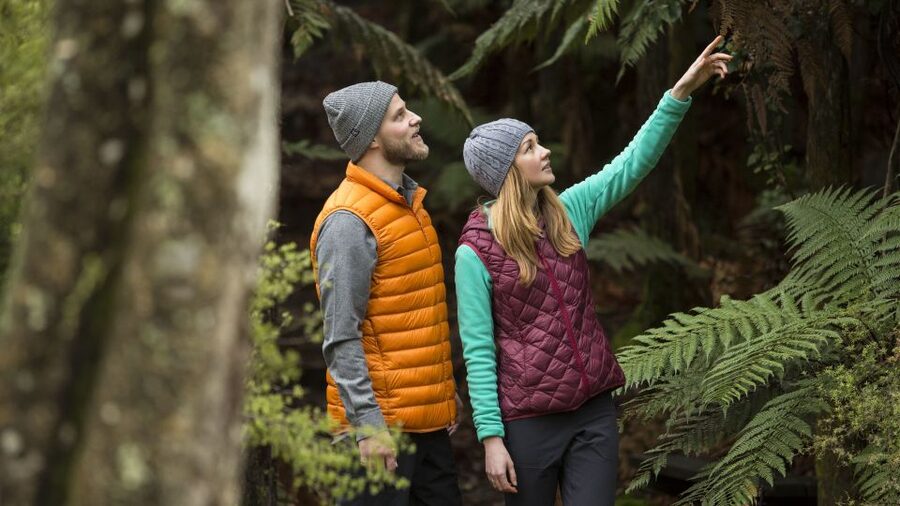 Rotorua: Waimangu Volcanic Valley Ticket & Self-Guided Walk - Lake Rotomahana and the return shuttle