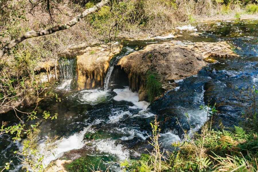 Rotorua: Waimangu Volcanic Valley Ticket & Self-Guided Walk - The Mount Haszard Trail for stronger walkers