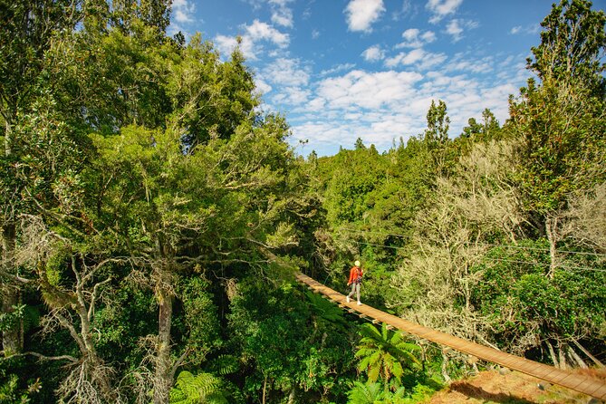 Rotorua Ziplines - Okere Falls Experience - Māori stories, tea, and the mauri of the place