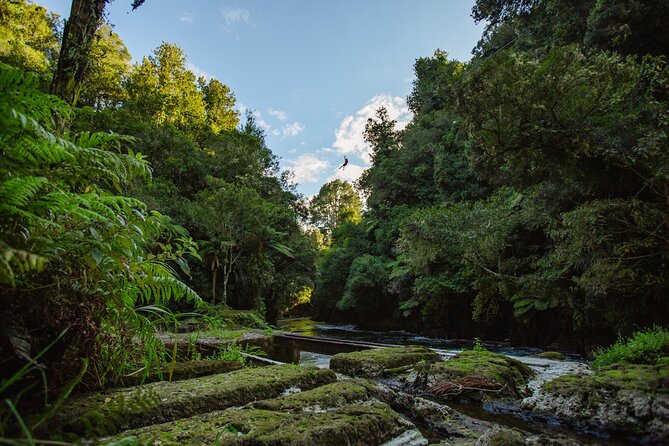 Rotorua Ziplines - Okere Falls Experience - How the guides handle nerves and first attempts