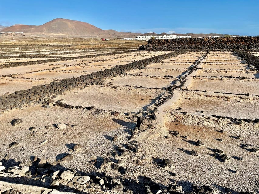 Route guided on the volcanic coast of Lanzarote. - Key points to know before you book