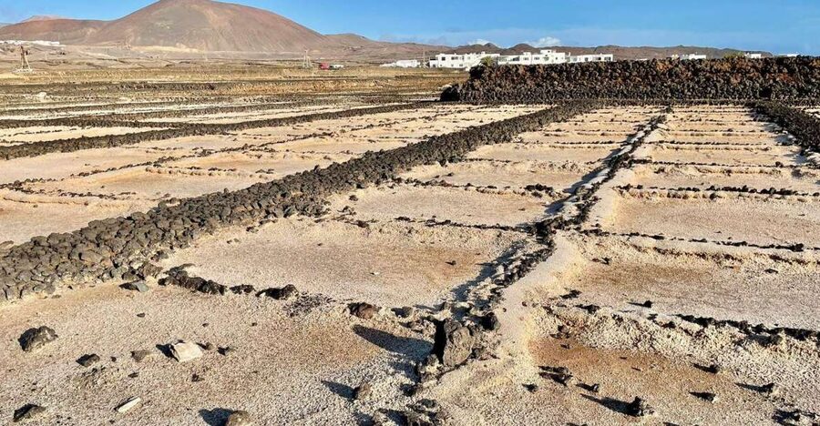 Route guided on the volcanic coast of Lanzarote. - Sandra’s guiding style and the small-group advantage