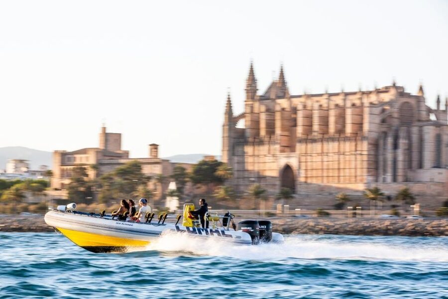 S'Arenal: Boat trip to Illetas with views of Palma - Key points to know before booking