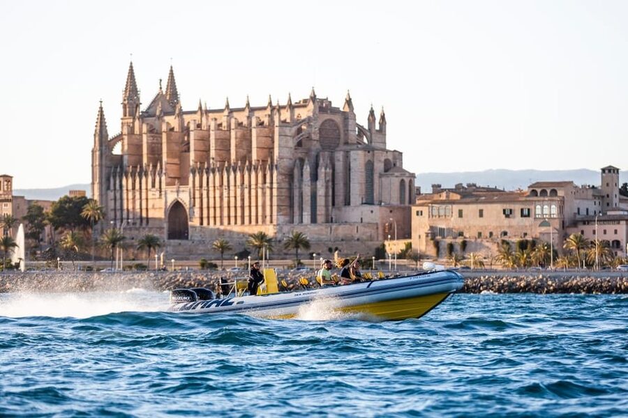 S'Arenal: Boat trip to Illetas with views of Palma - Anchoring near Cala Illetas