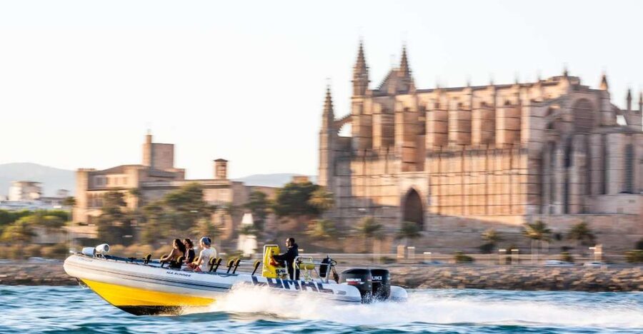 S'Arenal: Boat trip to Illetas with views of Palma - What the three hours feel like