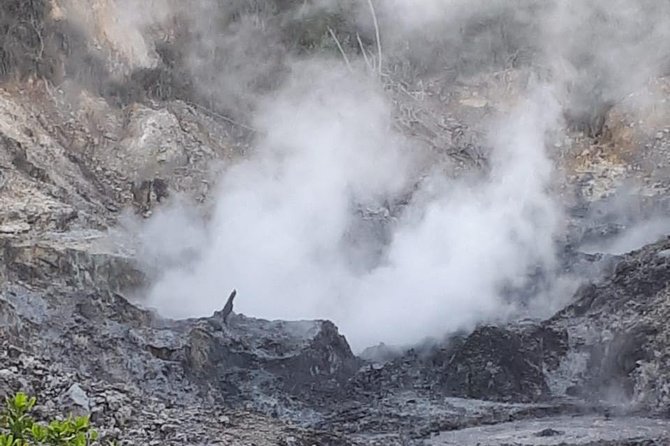 Saint Lucia Sulphur Springs Rejuvenating Mud Bath Tour - Canaries adds scenery and local texture