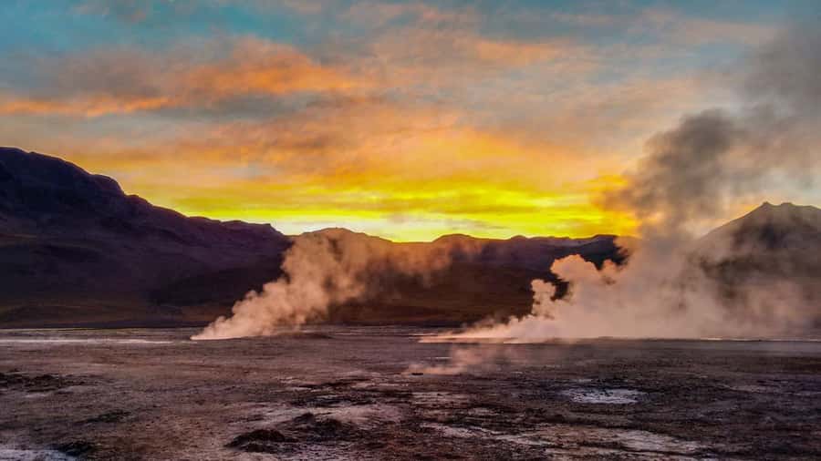 San Pedro de Atacama: El Tatio Geyser Field and Wetlands - Who will enjoy this morning most