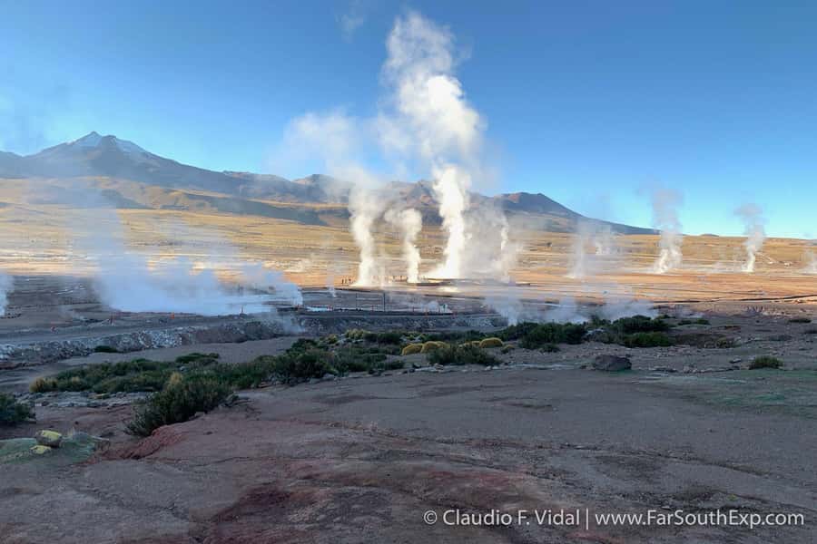 San Pedro de Atacama: El Tatio Geyser Field and Wetlands - Watching more than 80 geysers wake up