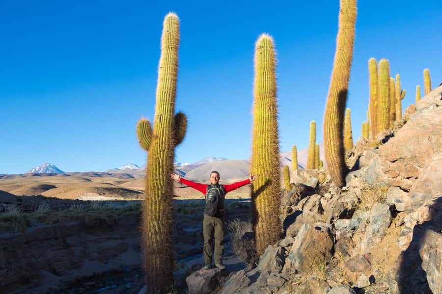 San Pedro de Atacama: Saver Pack Tatio Geysers + Moon Valley - Who should book this experience