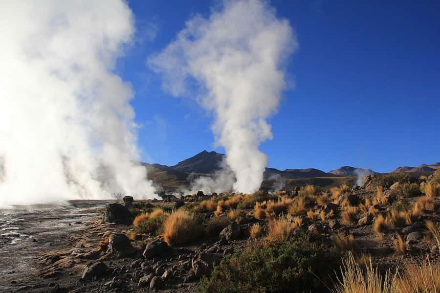 San Pedro de Atacama: Tatio Geysers and Machuca Tour - What to expect at El Tatio