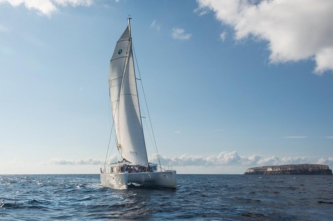 Santorini Caldera Sailing Tour with BBQ Lunch and Drinks - The BBQ lunch is a major part of the value
