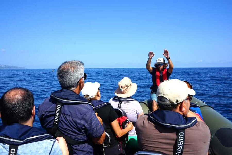 São Miguel: Boat Tour – Volcanic Wonders, Caves & History - Should you book the Rabo de Peixe coastal trip?
