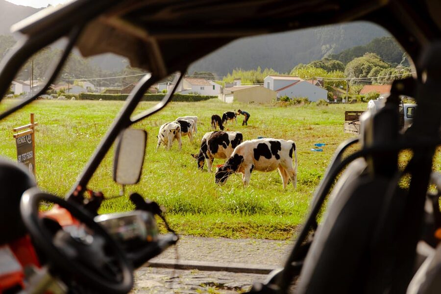Sao Miguel: Buggy Tour Around Sete Cidades Volcano - Who will enjoy this most