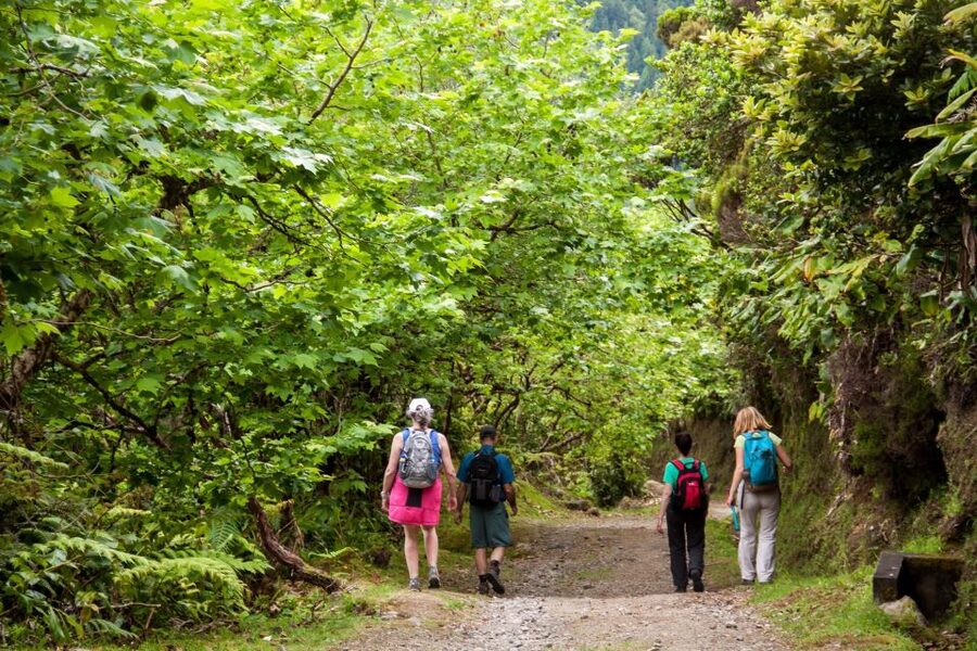 São Miguel: Full-Day Hike to Lagoa do Fogo - The two-hour climb to Lagoa do Fogo