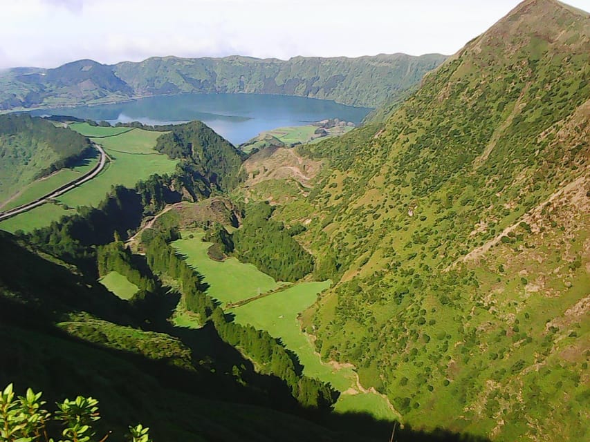 São Miguel Guided Tour to Volcano and Crater of Sete Cidades - Pineapples before the volcano