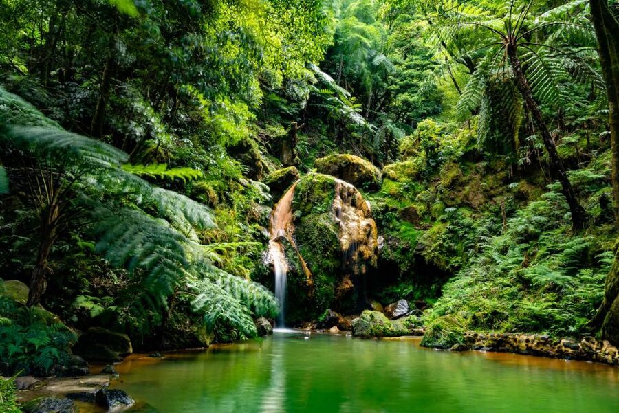 Sao Miguel: Jeep Tour to Sete Cidades & Lagoa do Fogo - Key points to know before booking