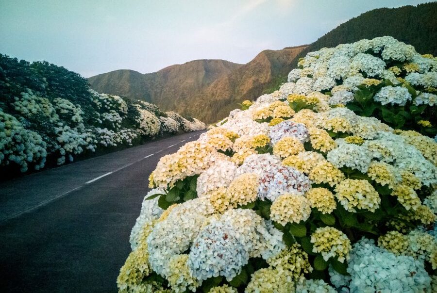 Sao Miguel: Jeep Tour to Sete Cidades & Lagoa do Fogo - Lagoa do Fogo gives you a second volcanic scene