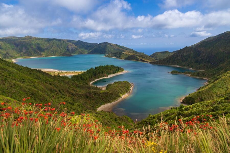 São Miguel: Whales & Volcano Full-Day Tour with Lunch - Lunch at the marina, with the timing caveat