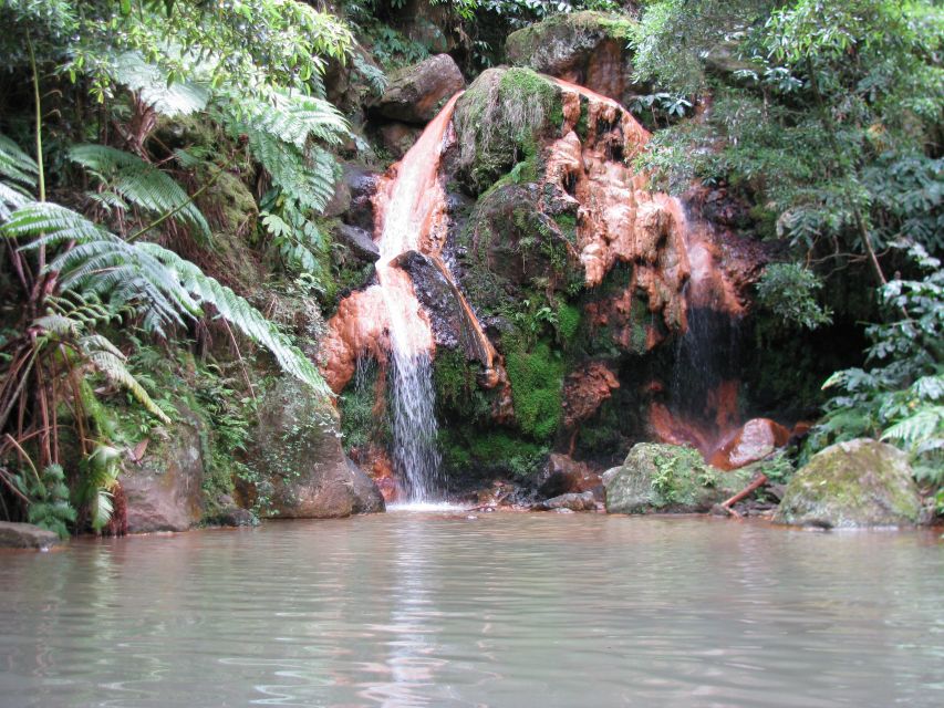 São Miguel: Whales & Volcano Full-Day Tour with Lunch - Practical advice for getting the most from the day