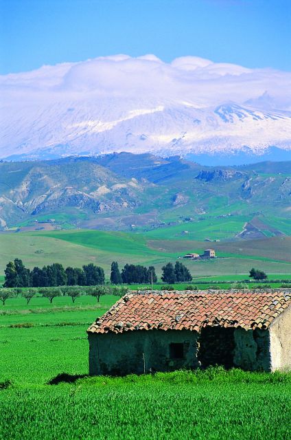 Scenic Tour of Etna foot hills and Alcantara Gorges - Randazzo adds a medieval pause