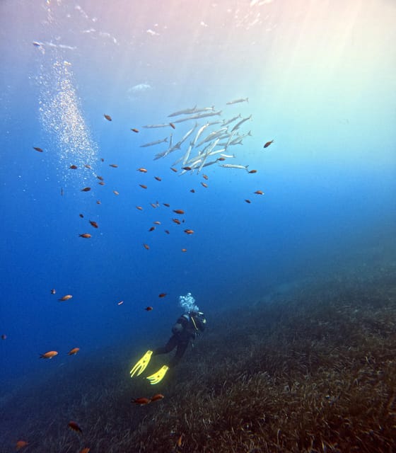 Scuba Diving in the Volcanic Caldera/shorelines of Santorini - Timing your morning around Santorini