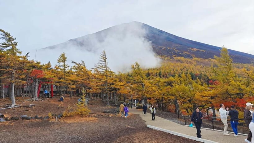 [Seasonal Limited] Mt. Fuji 5th Station &Hot Spring Day Tour - Shintaku-yama Asama Park and the famous pagoda view