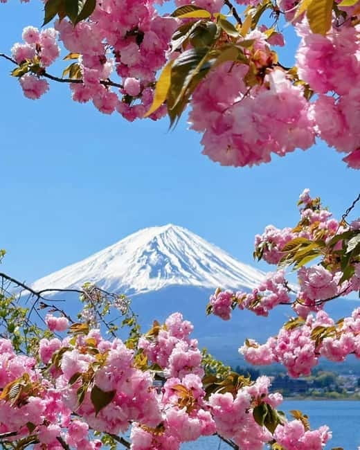 [Seasonal Limited] Mt. Fuji 5th Station &Hot Spring Day Tour - Gotemba Premium Outlets as the weekday alternative