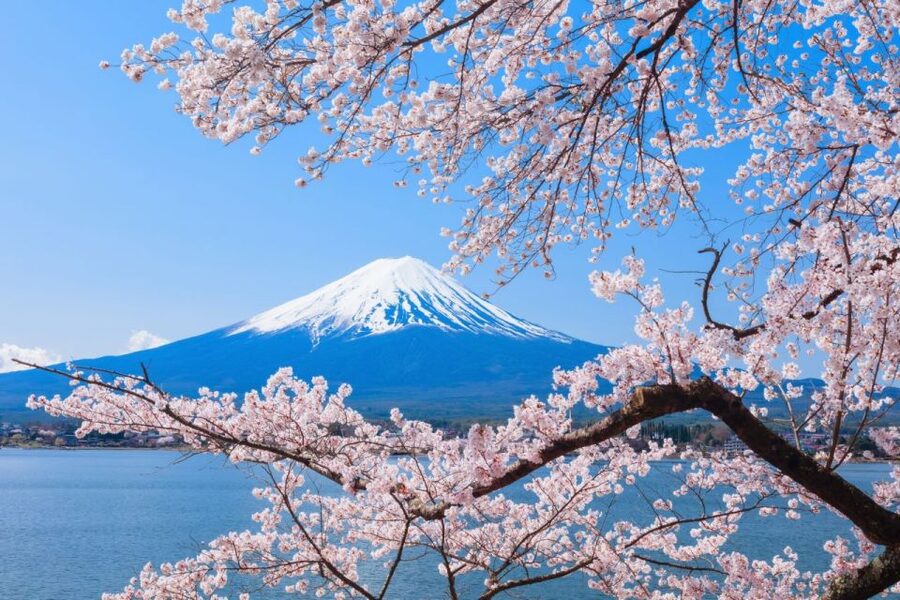 Seasonal Mt. Fuji Scenic Views, Fruit Picking and Ropeway! - The $90 price and what it really covers
