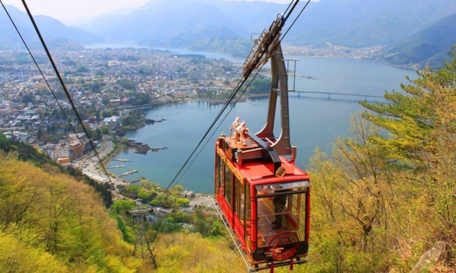 Seasonal Mt. Fuji Scenic Views, Fruit Picking and Ropeway! - Who should book this experience
