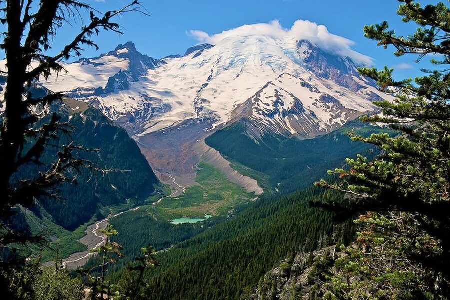 Seattle: Mount Rainier Park All-Inclusive Small Group Tour - Wildlife watching without promises