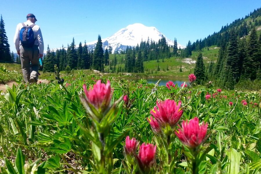 Seattle: Mount Rainier Park All-Inclusive Small Group Tour - A picnic lunch with real table settings
