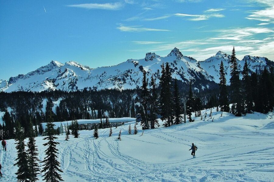 Seattle: Mount Rainier Park All-Inclusive Small Group Tour - The guide can make or break a long day