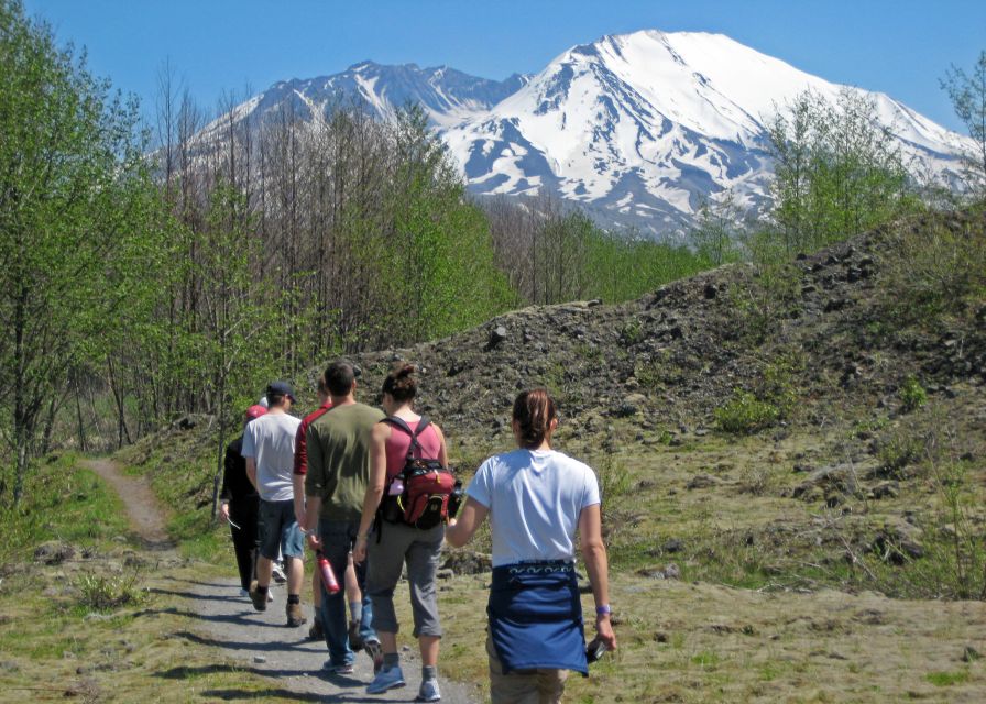 Seattle: Mt. St. Helens National Monument Small Group Tour - Key points to know before you book