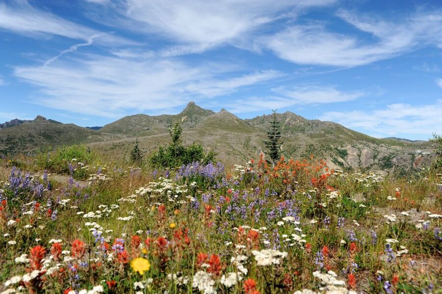Seattle: Mt. St. Helens National Monument Small Group Tour - The interpretive center and the story of 1980