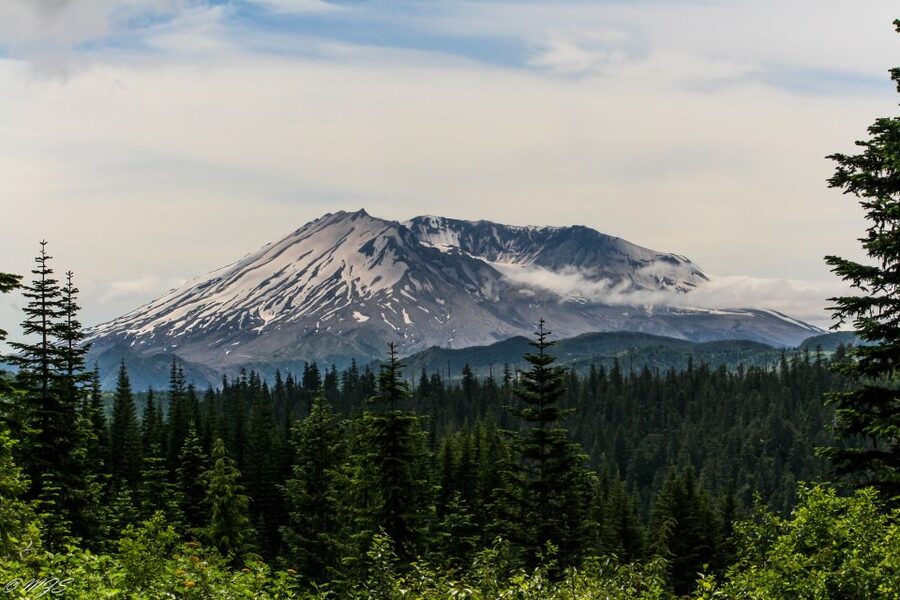 Seattle: Mt. St. Helens National Monument Small Group Tour - Coldwater Lake and the current viewpoint plan