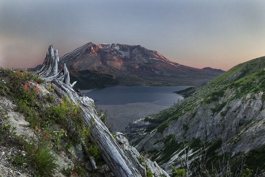 Seattle: Mt. St. Helens National Monument Small Group Tour - The long ride back to Seattle