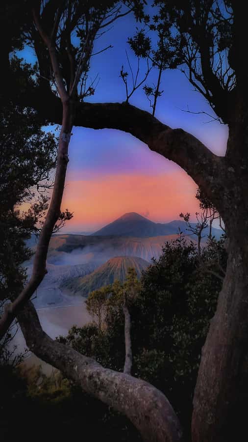 Shared Tour Bromo Start Cemorolawang Probolinggo - Why this Bromo trip works for a short stay
