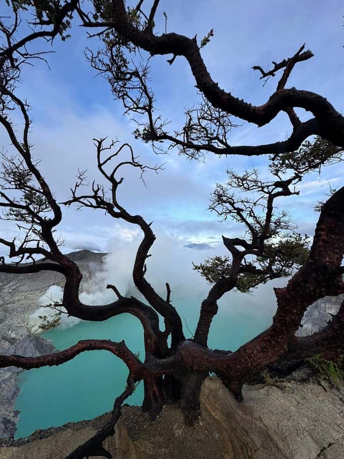 Shared Tour Mount Ijen 1D start from Banyuwangi - Why the blue fire makes this night climb worthwhile