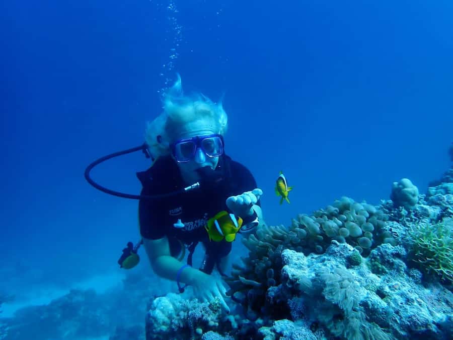 Sharm El Sheikh: Day sail to White island and Ras Mohamed - White Island and the importance of the tide