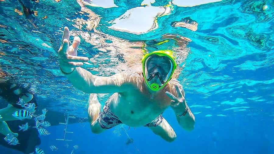 Sharm El Sheikh: Day sail to White island and Ras Mohamed - The crew and guide support
