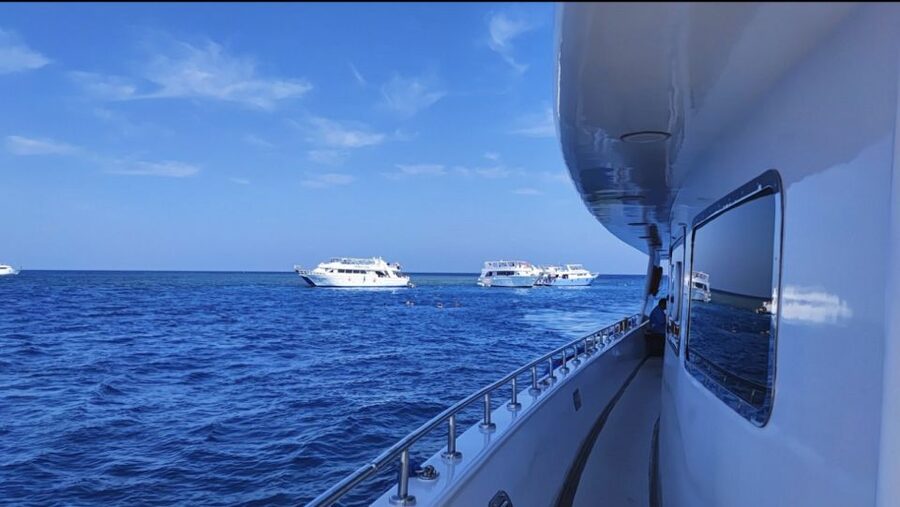 Sharm El-Sheikh: Luxury Ras Mohammed & White Island Cruise - White Island adds a different kind of stop