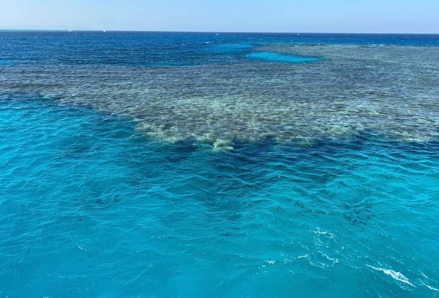 Sharm el-Sheikh: Premium Ras Mohammed & White Island Cruise - White Island: a short stop with big views