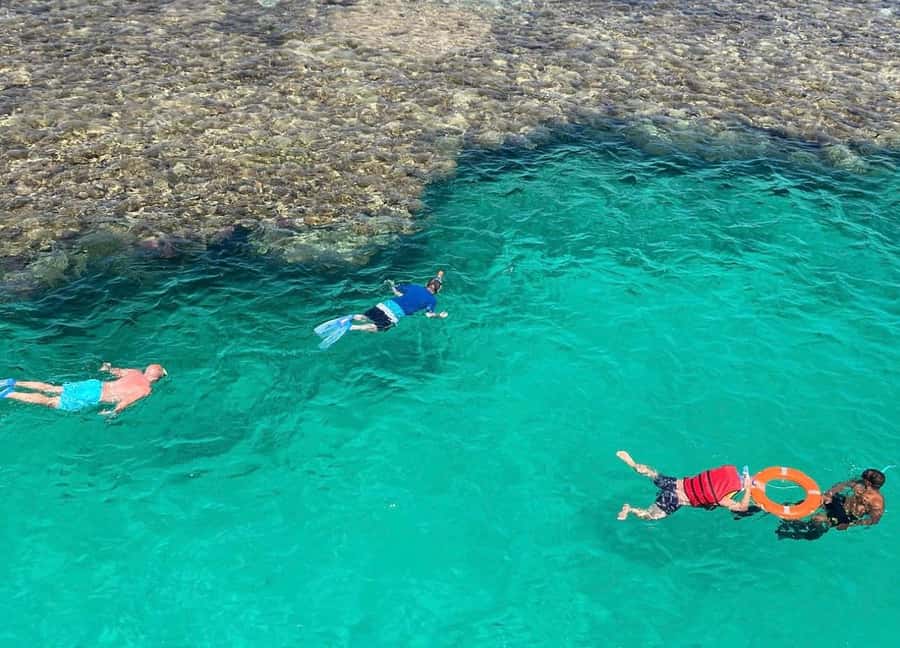 Sharm el-Sheikh: Premium Ras Mohammed & White Island Cruise - What the $30 price really buys