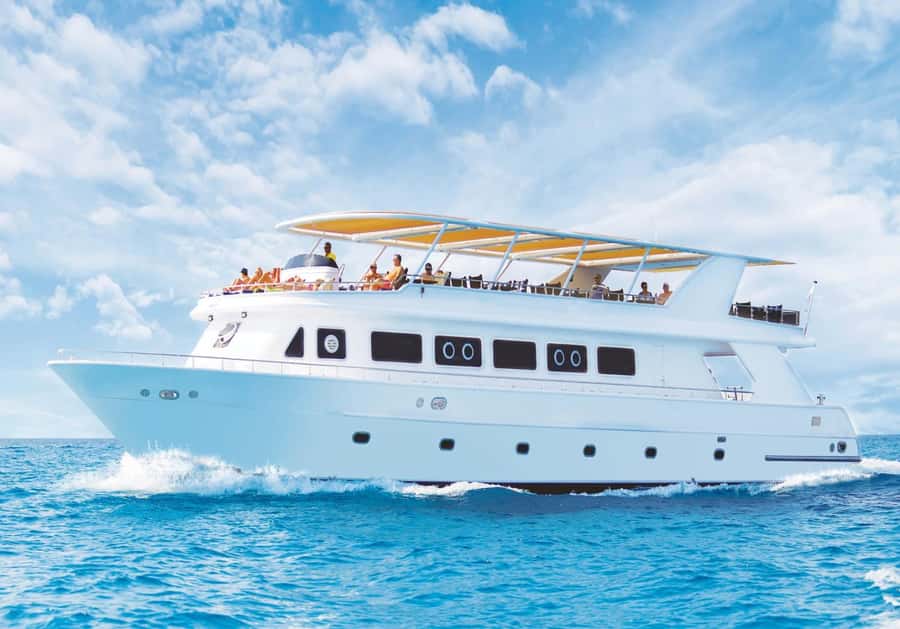 Sharm el-Sheikh: Premium Ras Mohammed & White Island Cruise - The yacht ride to Ras Mohammed