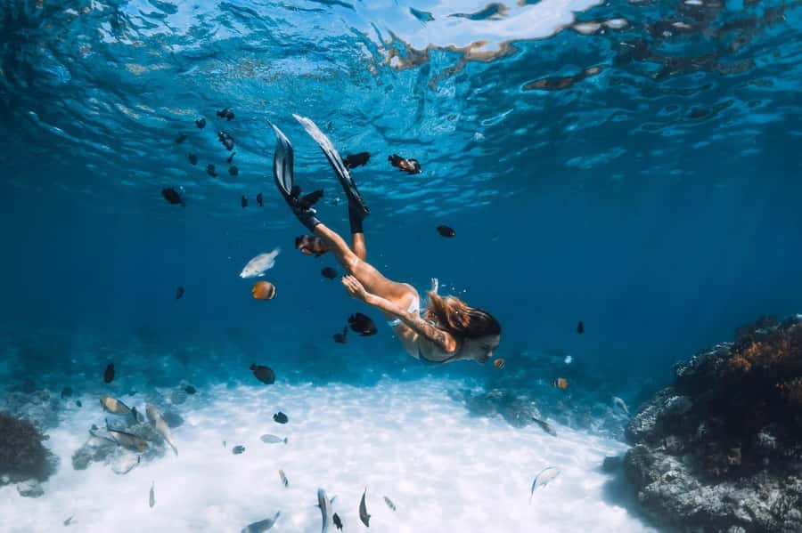 Sharm El Sheikh: Ras Mohamed and White island cruise - Key points to know before you book