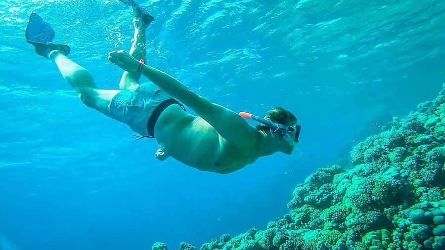 Sharm El Sheikh: Ras Mohamed and White island cruise - From your hotel to Watanya Marina
