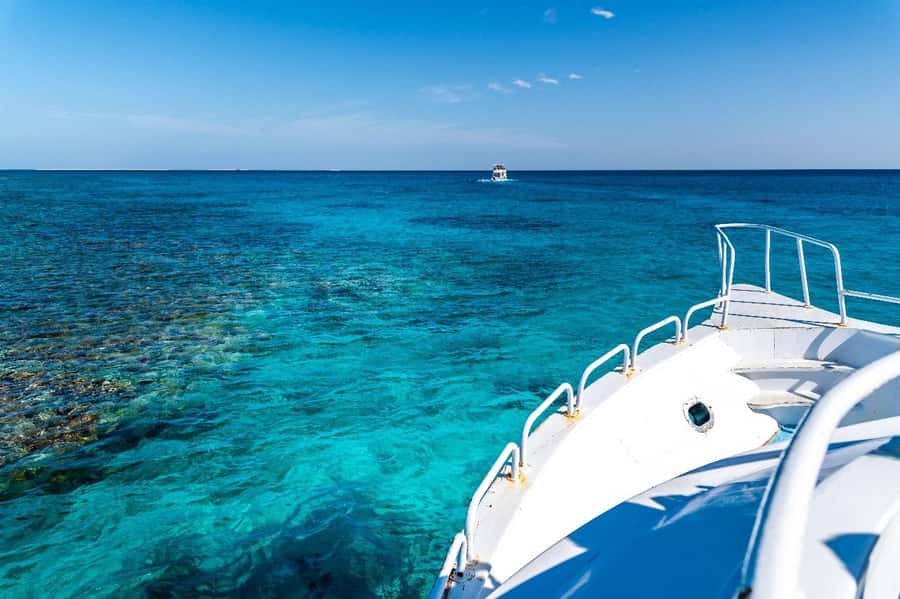 Sharm El Sheikh: Ras Mohamed and White island cruise - Who will enjoy this cruise most
